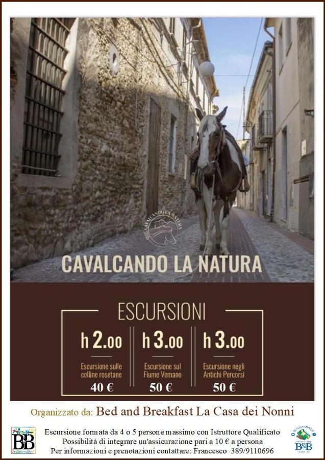 Bed And Breakfast La Casa Dei Nonni Roseto degli Abruzzi Kültér fotó